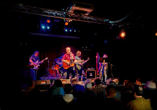 Western Stars + Solo Hits 